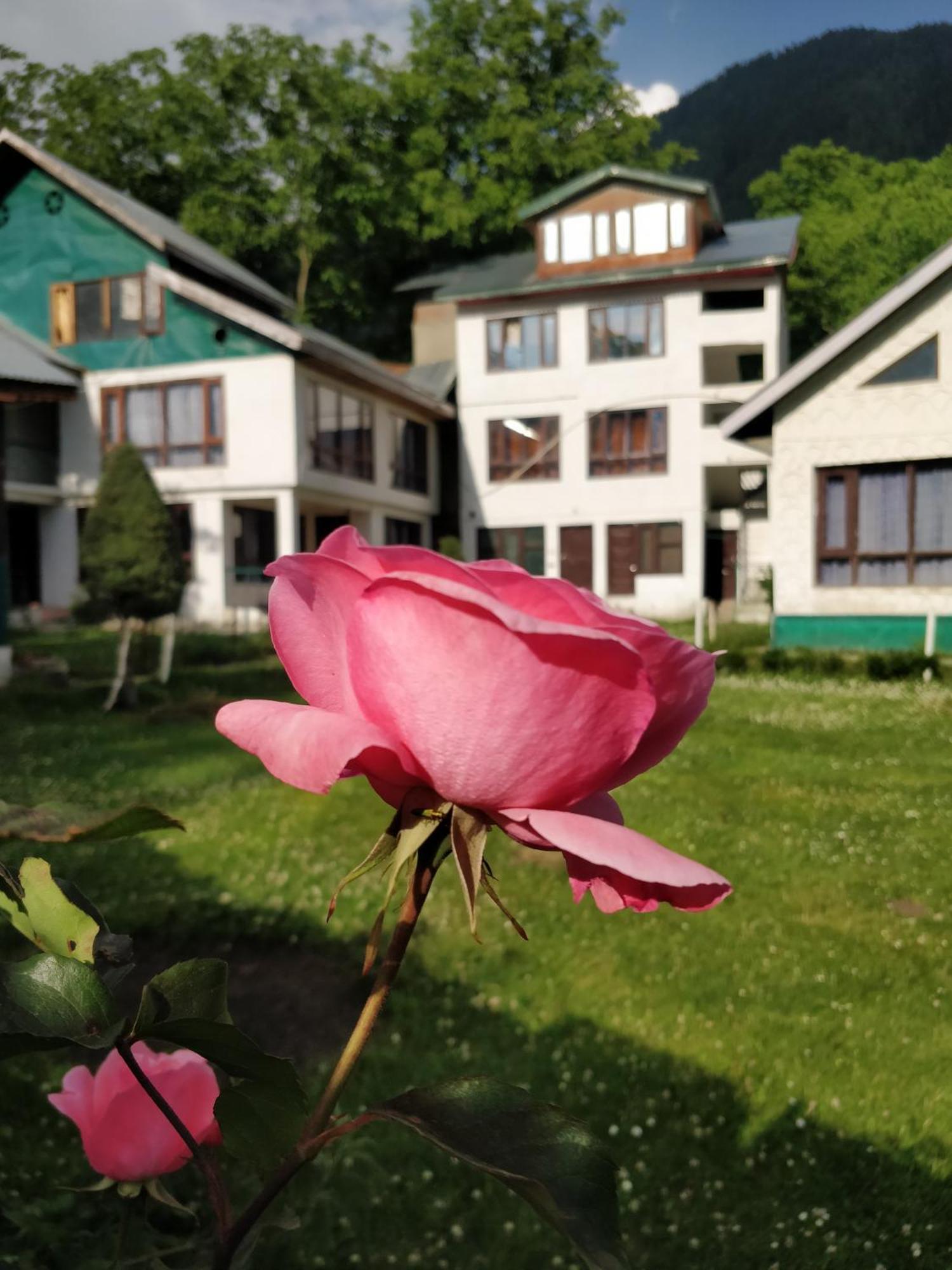 The K2 Alpine Hotel Pahalgam Bagian luar foto